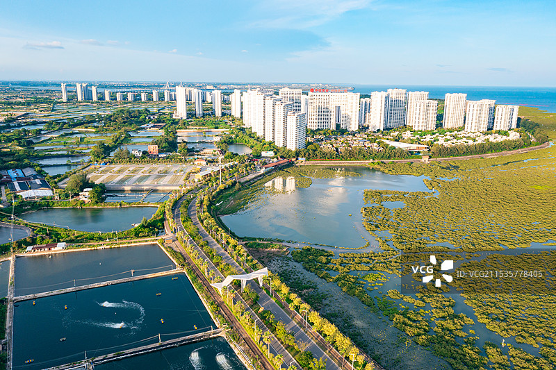 北海金海湾红树林生态旅游区图片素材
