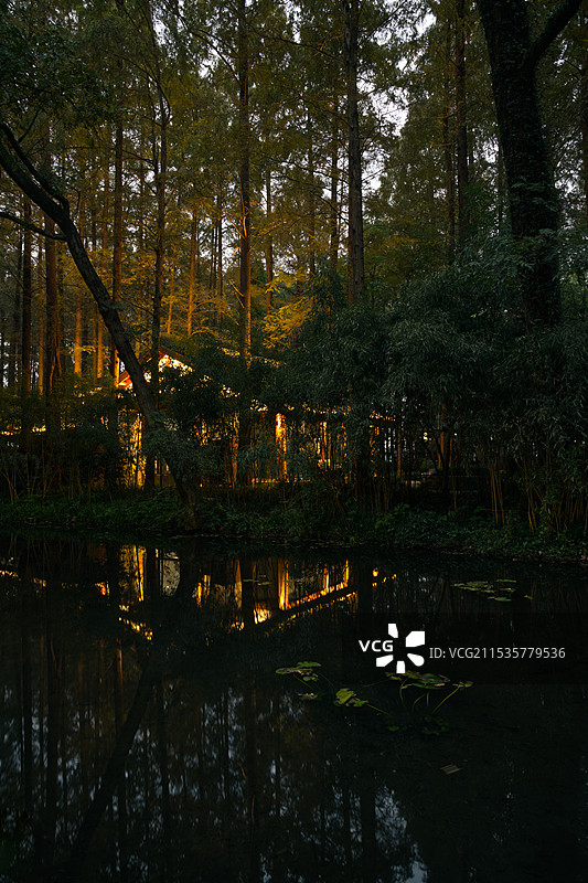 杨公堤图片素材