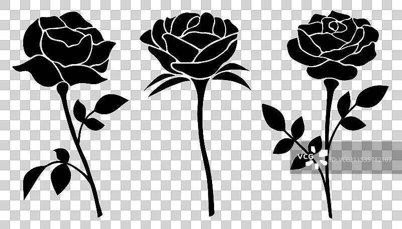 黑色玫瑰剪影装饰套件图像图片素材
