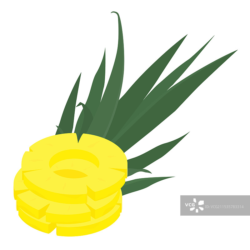 热带水果菠萝圈或切片与图片素材