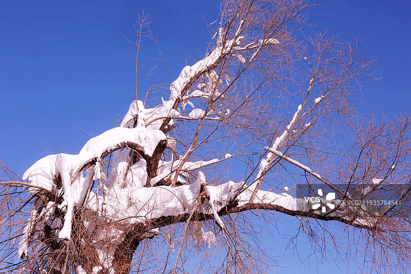 辽宁沈阳：北陵人造雪景吸引游客图片素材