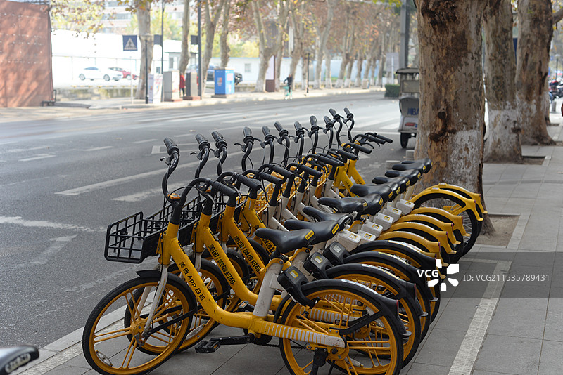 摆放整齐的共享单车图片素材