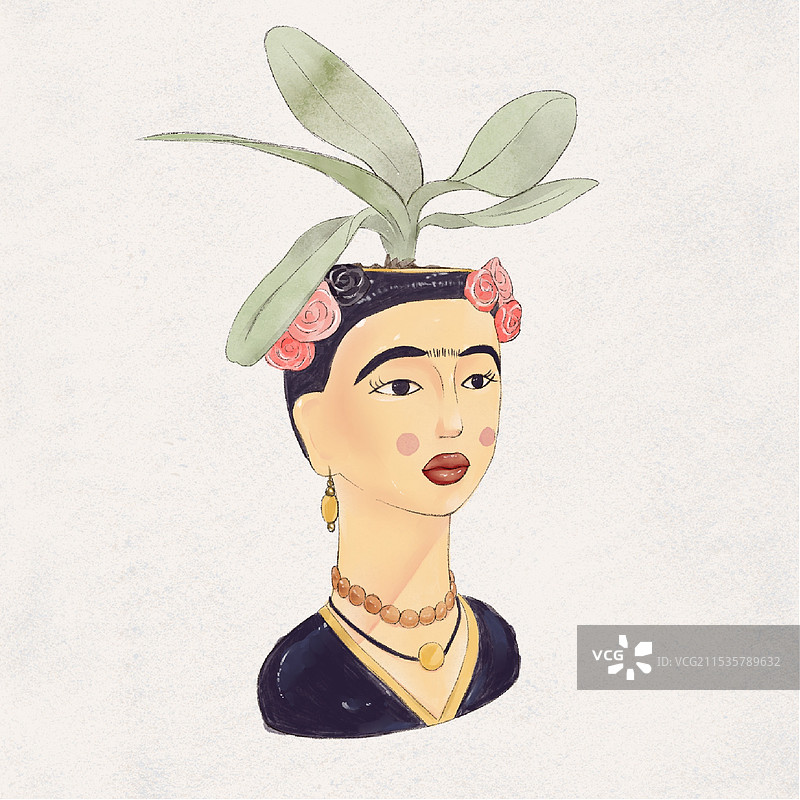 花盆与君子兰图片素材