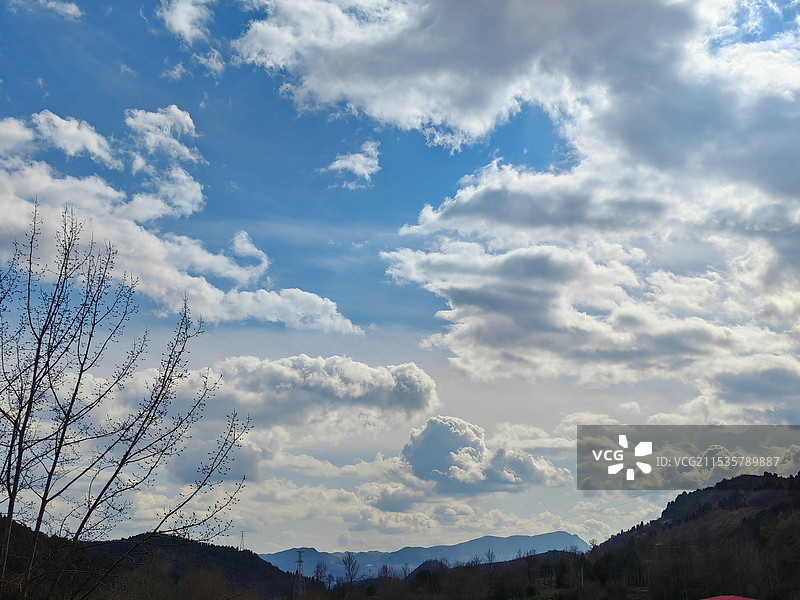 低空俯视树木轮廓图片素材