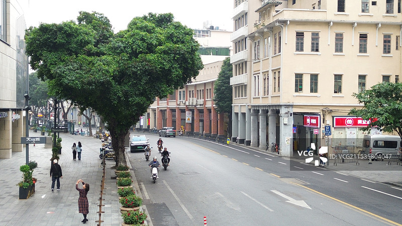 广州北京路爱心树景色图片素材