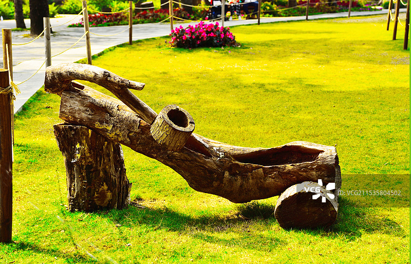 深圳仙湖植物园自然雕塑木头艺术图片素材