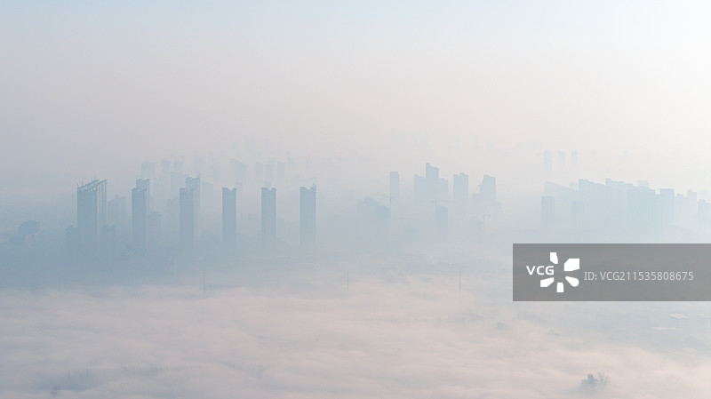 秋冬季河南省新乡市获嘉县平原地区清晨平流雾图片素材