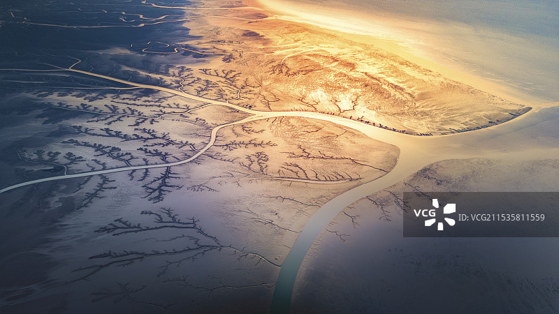 山东省东营市黄河口潮汐树日出航拍风光图片素材