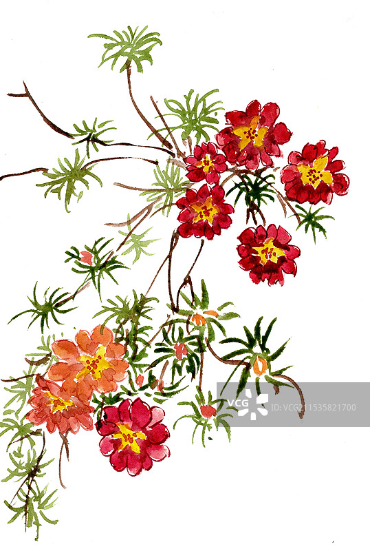 红色的小花图片素材