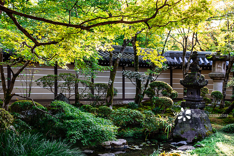 日本京都永观堂禅林寺庭院景观图片素材