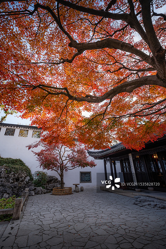 苏州园林环秀山庄秋景图片素材