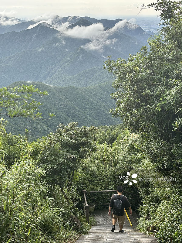 广东东莞市银瓶山森林公园群山中的云海景色图片素材