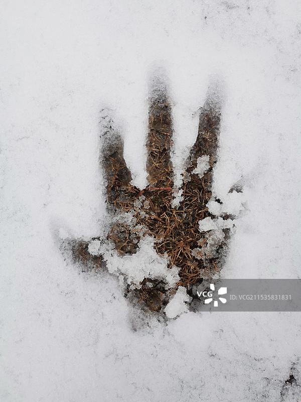 雪地里的手印图片素材