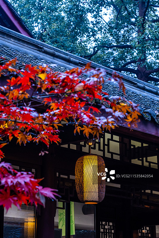 秋天枫叶灯笼图片素材