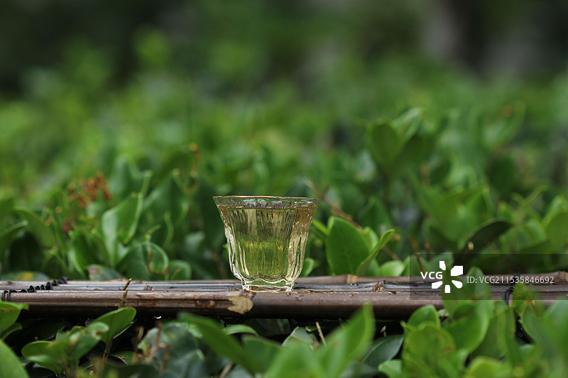 普洱茶生茶茶汤图片素材