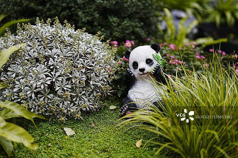 微景观人工造景图片素材
