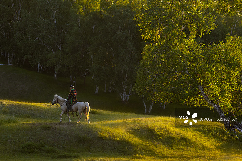 万马奔腾图片素材