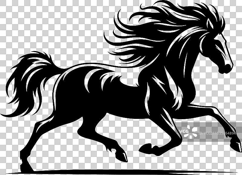 马，力量与优雅的壮丽生物图片素材