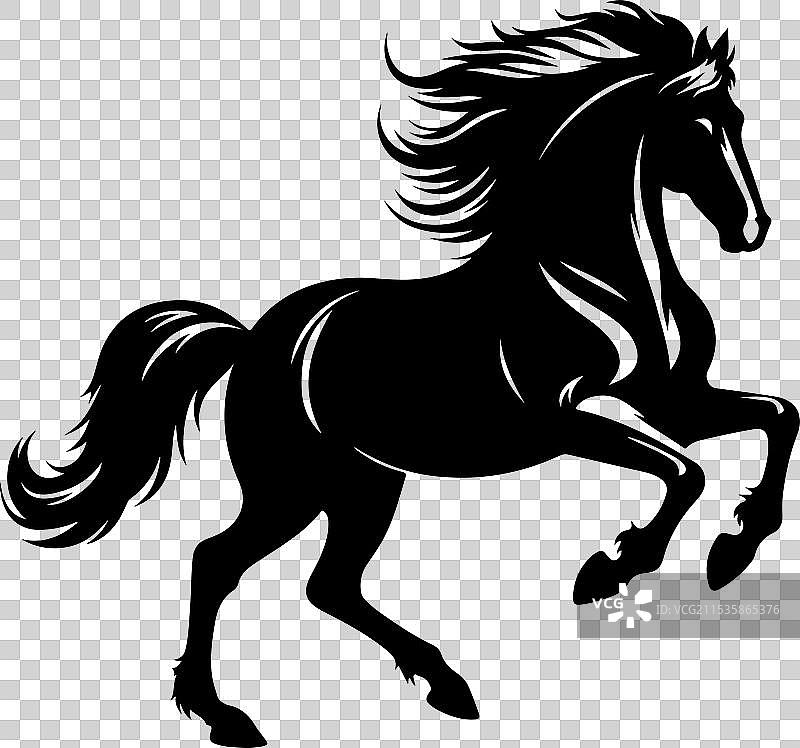 高贵马匹的遗产图片素材