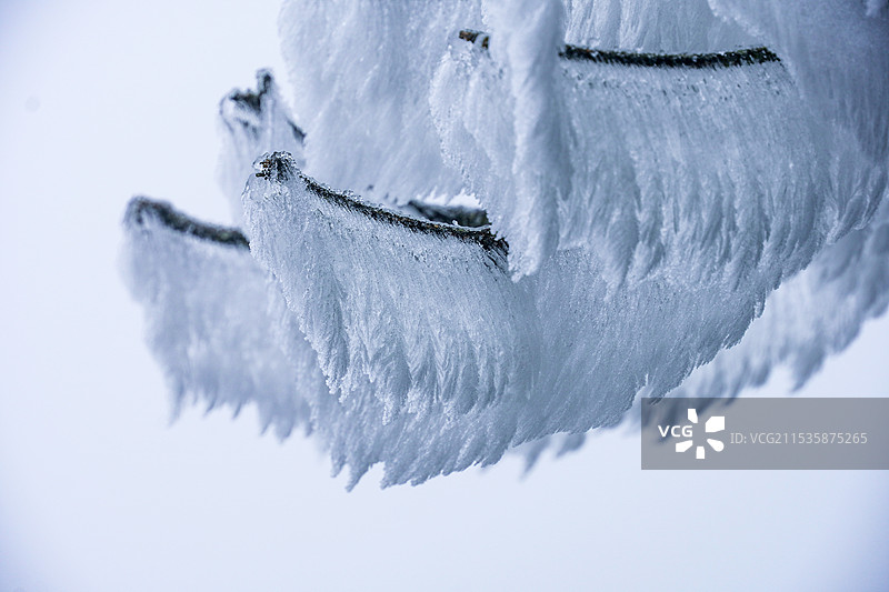 雾凇图片素材