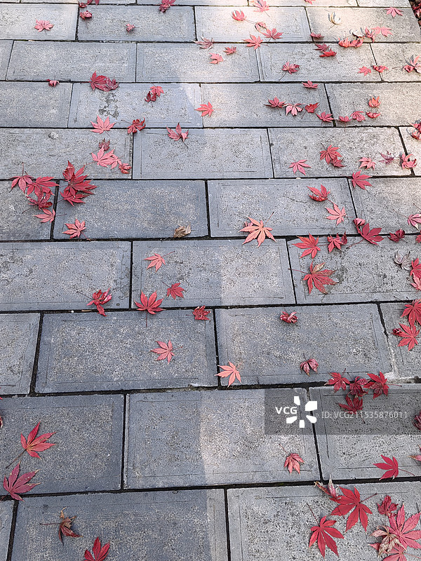 人行道高角度视图图片素材