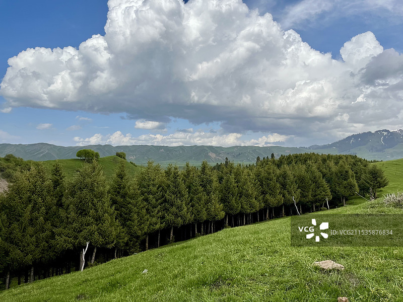 低云下草原树林远山图片素材