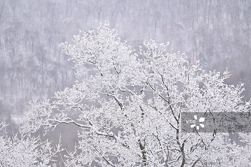 长白山图片素材