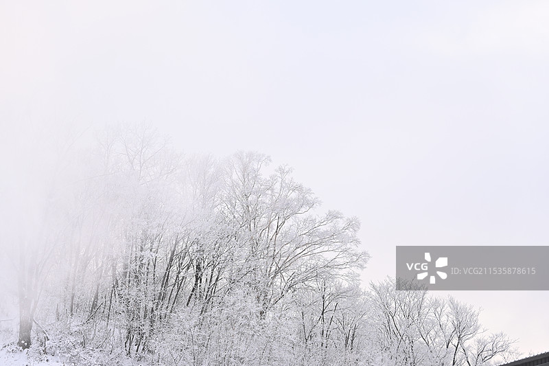 长白山图片素材