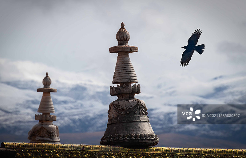 在多云的天空中飞行的鸟的低角度视图图片素材