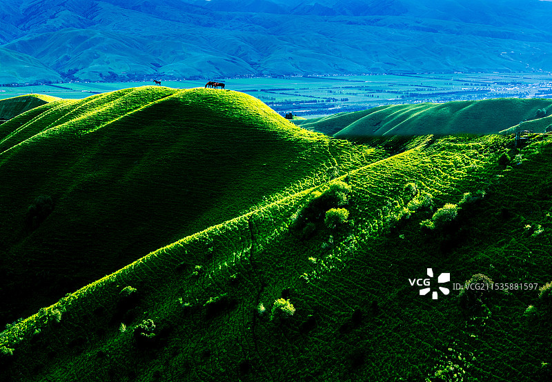 伊犁高山草原图片素材