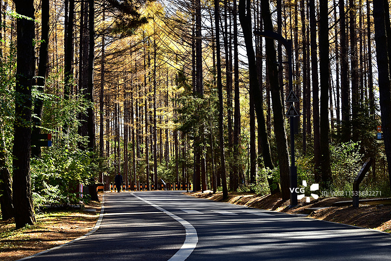 净月潭图片素材