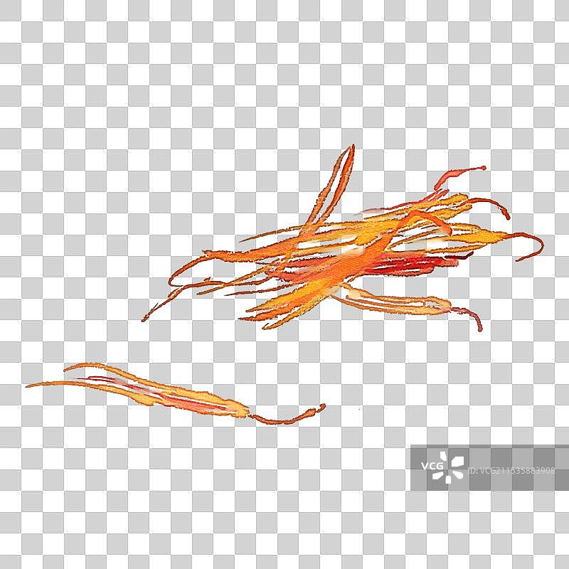 本草红花图片素材