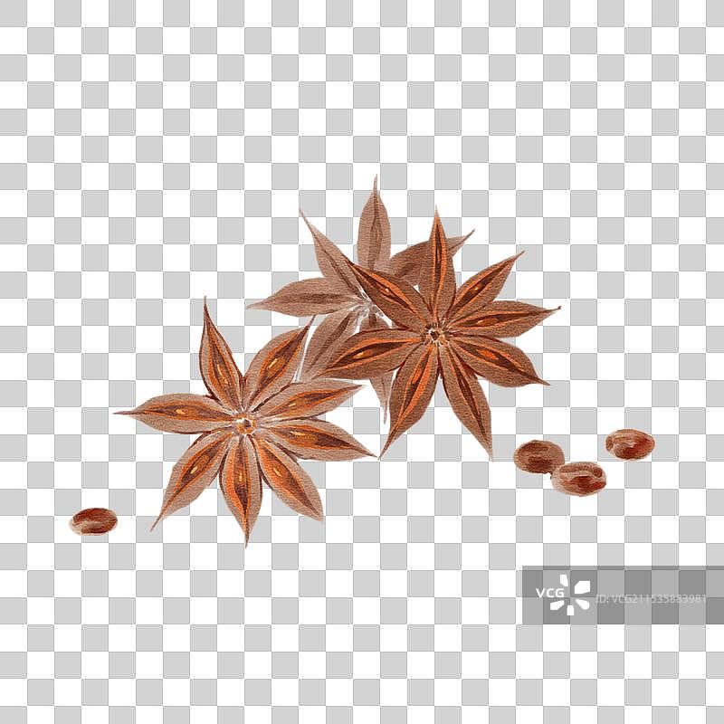 香料八角图片素材