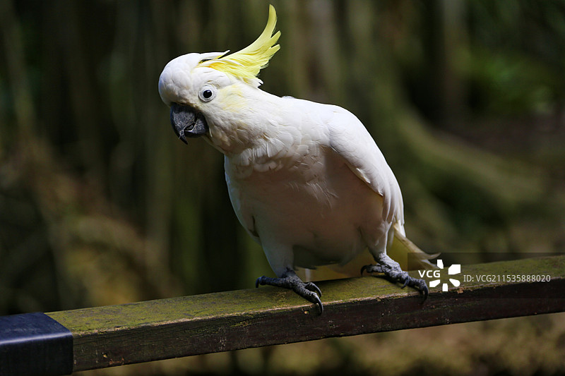 你瞅啥图片素材