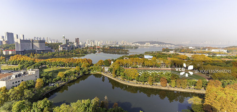 武汉东湖醉人的秋色图片素材