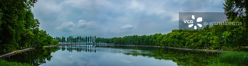 武汉旅拍-湖边的树顶着天空图片素材