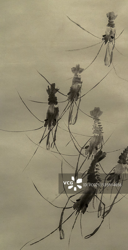 北京大运河博物馆“纪念齐白石诞辰160周年特展”：虾——齐白石（1947年，荣宝斋藏）图片素材