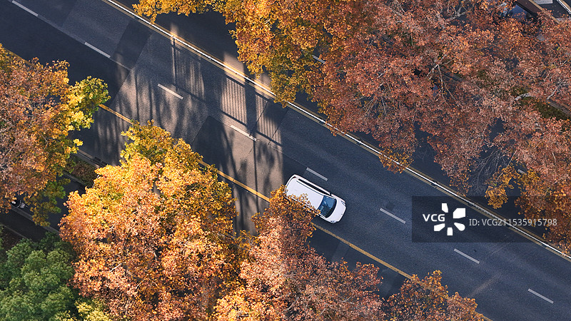 杭州秋色图片素材