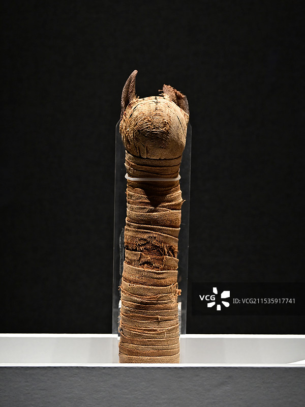 “遇见古埃及：永恒的木乃伊之谜”猫木乃伊图片素材