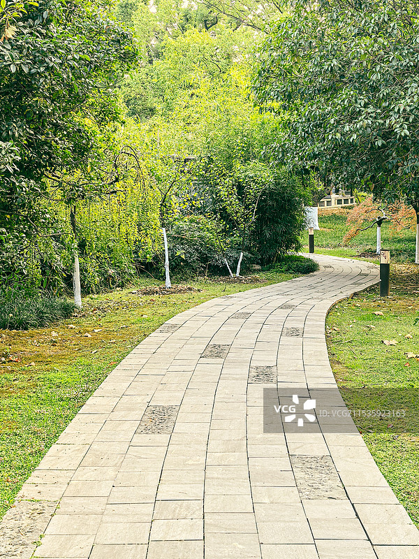 梨园里的小路图片素材