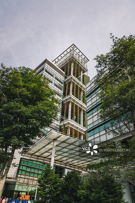 新加坡国立大学风光图片素材
