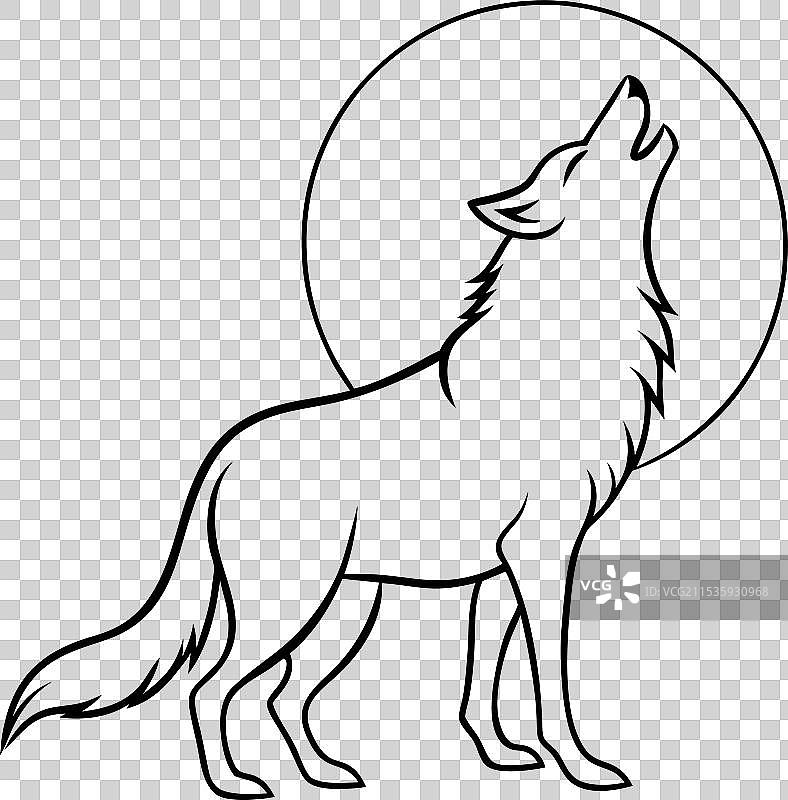 午夜狼的嚎叫秘密图片素材