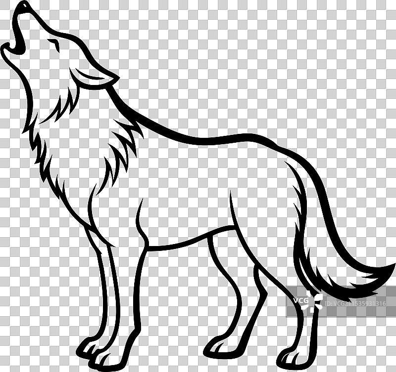 野性的回声：狼的旅程图片素材