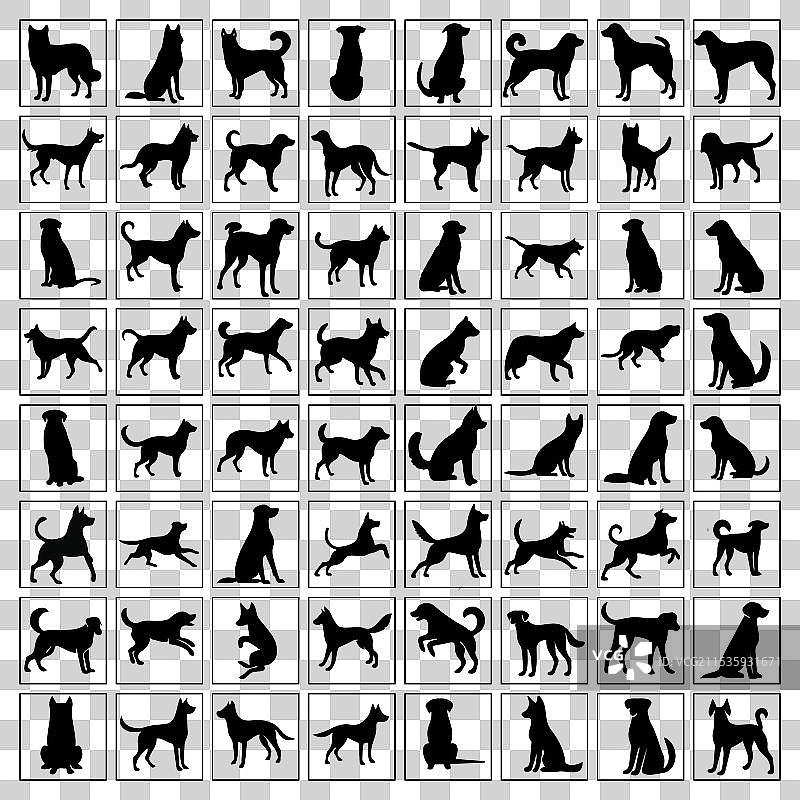 自然家犬轮廓系列图片素材