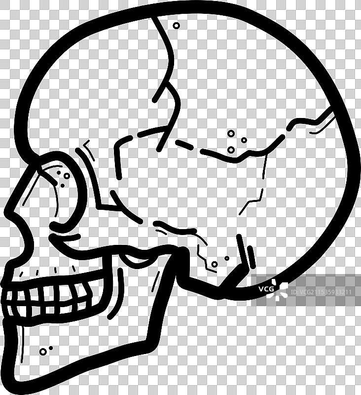 人类头骨侧视图 - 图标图片素材