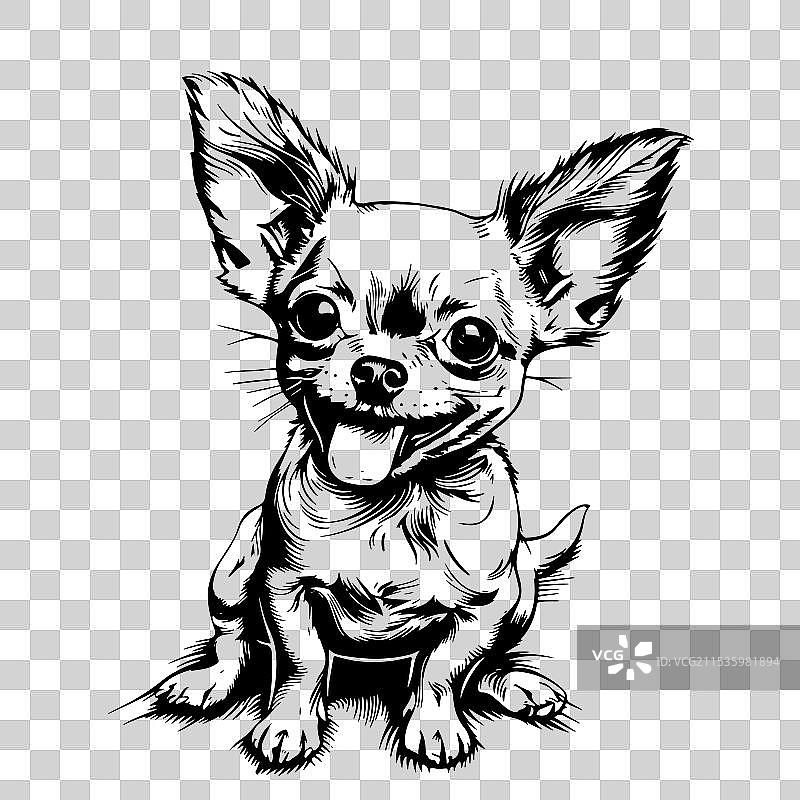 搞笑的卡通吉娃娃小狗，舌头轮廓可爱图片素材