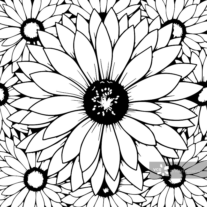 菊花涂色页设计图片素材