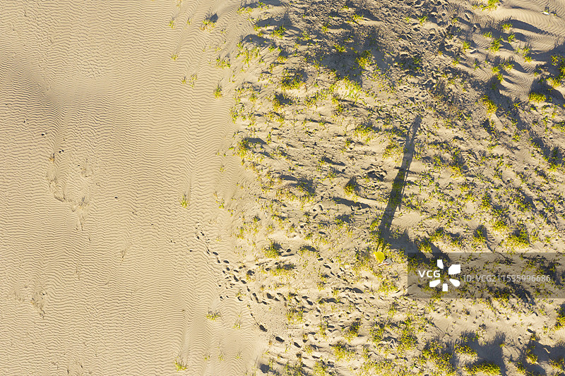 女人在沙滩上散步图片素材