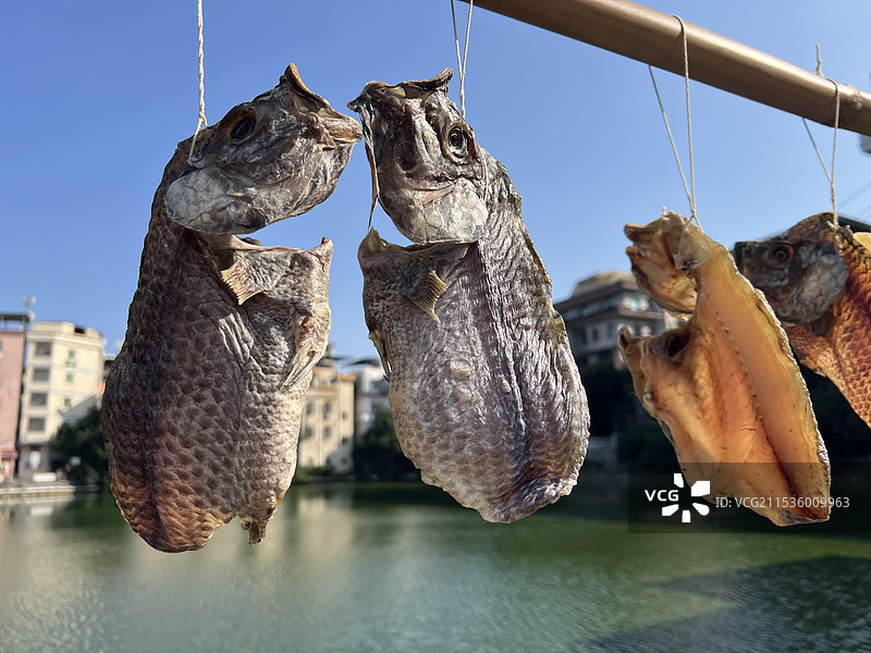 村里路边晾晒的咸鱼图片素材