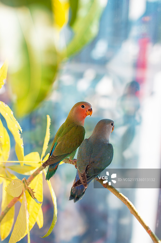 岁月静好图片素材